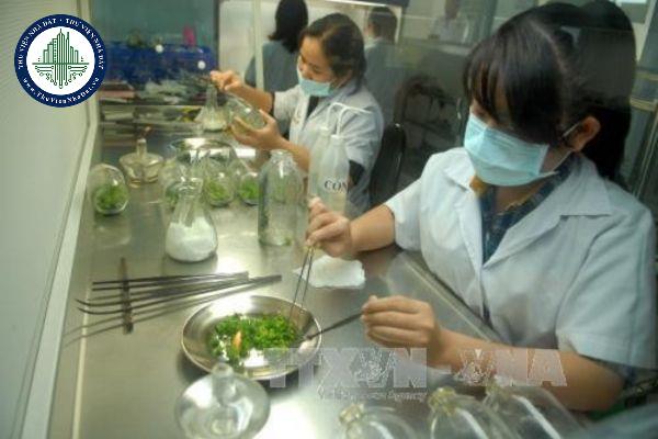 thuviennhadat.vn