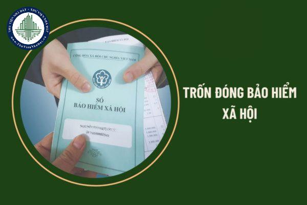 thuviennhadat.vn