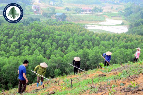 thuviennhadat.vn