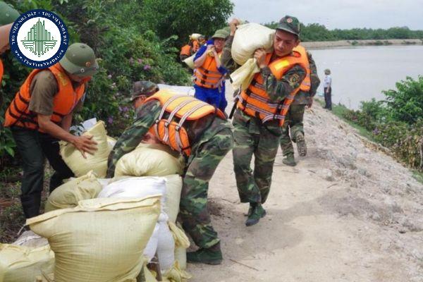 thuviennhadat.vn