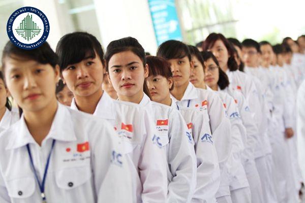 thuviennhadat.vn