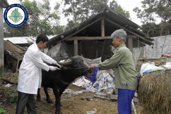 thuviennhadat.vn