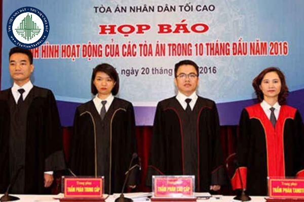 thuviennhadat.vn