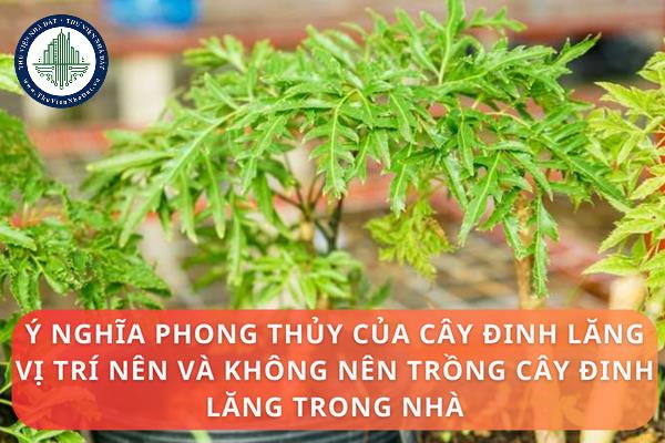 thuviennhadat.vn