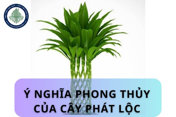 thuviennhadat.vn