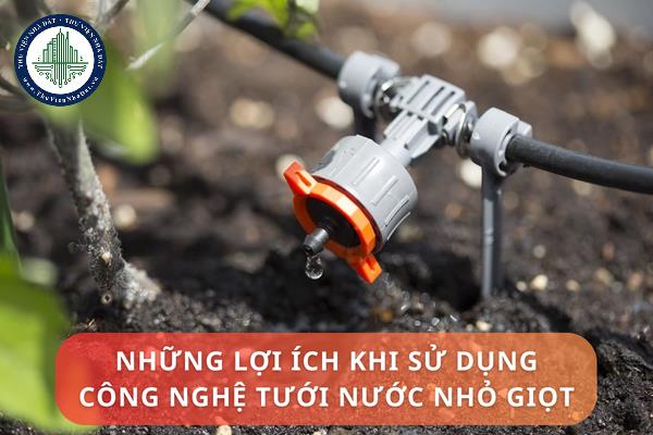 Những lợi ích khi sử dụng công nghệ tưới nước nhỏ giọt