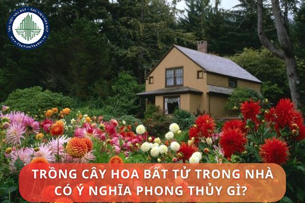 thuviennhadat.vn