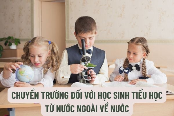 Thủ tục chuyển trường đối với học sinh tiểu học từ nước ngoài về nước như thế nào?