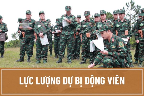 Lực lượng dự bị động viên gồm những ai?