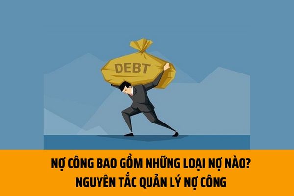 Nợ công bao gồm những loại nợ nào? Nguyên tắc quản lý nợ công theo quy định hiện nay như thế nào? 