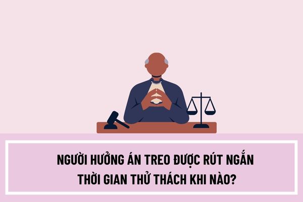 Người hưởng án treo được rút ngắn thời gian thử thách khi nào? Hồ sơ đề nghị rút ngắn thời gian thử thách bao gồm những gì?