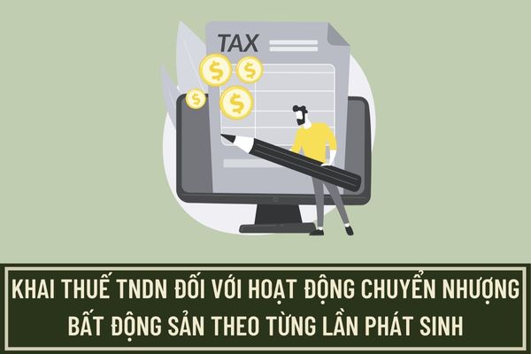 Hướng dẫn lập tờ khai thuế thu nhập doanh nghiệp đối với hoạt động chuyển nhượng bất động sản theo từng lần phát sinh theo mẫu số 02/TNDN mới nhất?