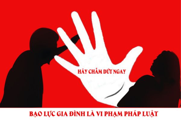 Cơ sở trợ giúp phòng, chống bạo lực gia đình được quy định như thế nào? Có mấy cơ sở trợ giúp phòng, chống bạo lực gia đình?