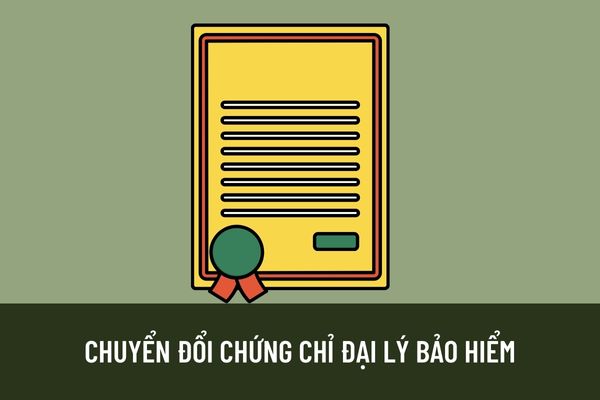 Chứng chỉ đại lý bảo hiểm được cấp như thế nào? Chứng chỉ đại lý bảo hiểm cũ được chuyển đổi theo nguyên tắc nào?