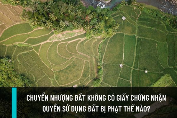 Chuyển nhượng đất không có Giấy chứng nhận quyền sử dụng đất thì bị phạt bao nhiêu tiền? Điều kiện chuyển nhượng quyền sử dụng đất là gì?