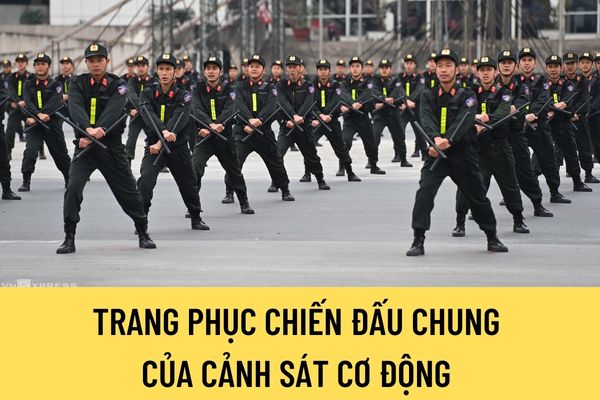 Cảnh sát cơ động được quy định trang phục chiến đấu chung như thế nào? Cảnh sát cơ động có trang phục chiến đấu riêng không?