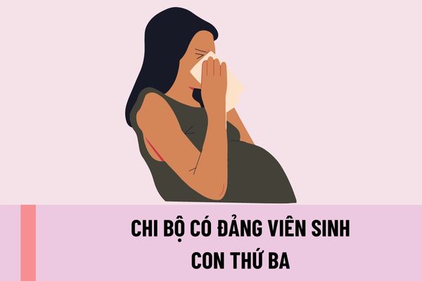 Chi bộ có đảng viên sinh con thứ ba xếp loại gì? Đảng viên sinh con thứ ba thì bị xử lý như thế nào?