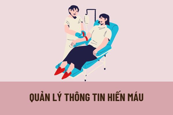 Cơ sở tiếp nhận máu phải tổ chức quản lý thông tin người hiến máu như thế nào? Trách nhiệm của người đăng ký hiến máu như thế nào?