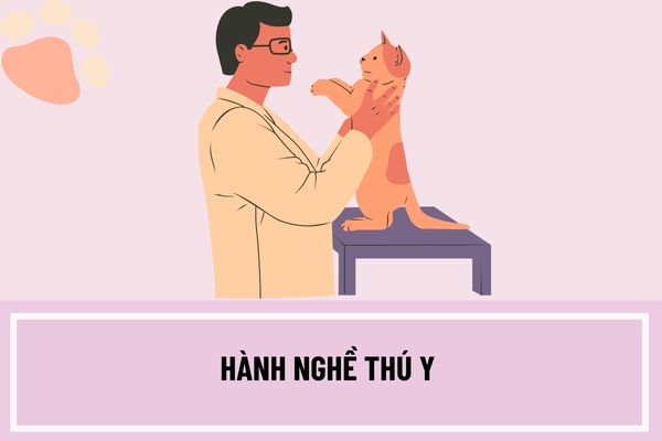 Có các loại hình hành nghề thú y nào? Hồ sơ, trình tự, thủ tục đăng ký cấp Chứng chỉ hành nghề thú y bao gồm những gì?