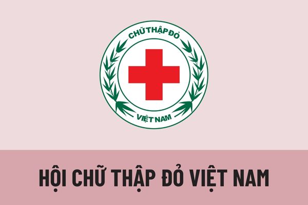 Cơ cấu tổ chức Hội Chữ thập đỏ Việt Nam được quy định ra sao? Nguyên tắc tổ chức và hoạt động Hội Chữ thập đỏ Việt Nam được quy định như thế nào? 