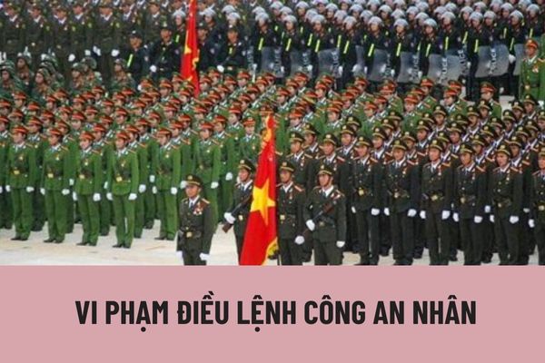 Cán bộ, chiến sĩ vi phạm điều lệnh Công an nhân dân bị xử lý theo các hình thức nào? Cán bộ, chiến sĩ bị xử lý bằng hình thức phê bình khi thực hiện những hành vi nào?