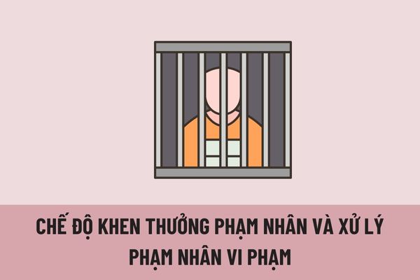 Chế độ khen thưởng phạm nhân và xử lý phạm nhân vi phạm đang chấp hành phạt tù được quy định như thế nào?