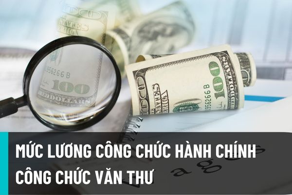 Mức xếp lương các ngạch công chức chuyên ngành hành chính, công chức chuyên ngành văn thư được quy định như thế nào?