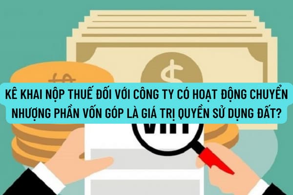 Hướng dẫn kê khai nộp thuế đối với Công ty có hoạt động chuyển nhượng phần vốn góp là giá trị quyền sử dụng đất?