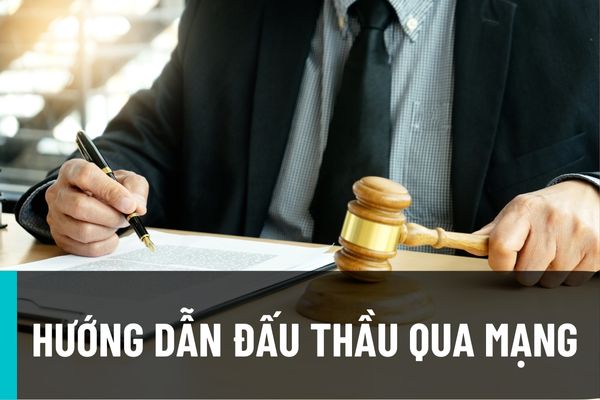 Hướng dẫn đấu thầu qua mạng: Nhà thầu với chủ đầu tư, bên mời thầu có được cùng thuộc một cơ quan hoặc tổ chức trực tiếp quản lý?