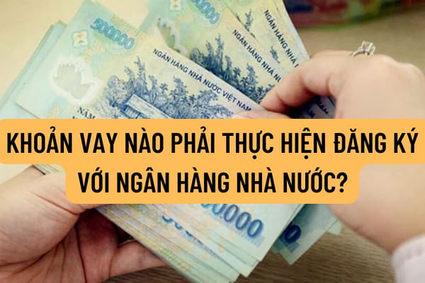 Khoản vay nào phải thực hiện đăng ký với Ngân hàng Nhà nước? Trình tự thực hiện đăng ký khoản vay từ ngày 15/11/2022 được quy định như thế nào?