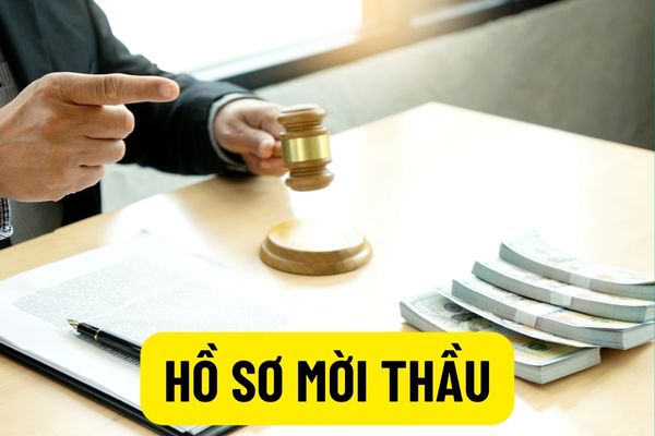 Không được thay đổi hay bổ sung bất kỳ nội dung nào của tiêu chuẩn nêu trong hồ sơ mời thầu khi đánh giá hồ sơ dự thầu?