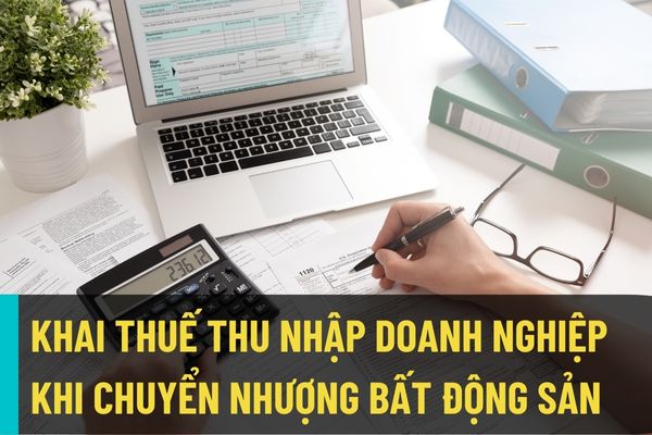 Mẫu tờ khai thuế thu nhập doanh nghiệp áp dụng đối với hoạt động chuyển nhượng bất động sản (Mẫu số 02/TNDN)?