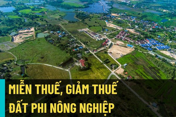 Trường hợp nào được miễn thuế, giảm thuế đối với thuế sử dụng đất phi nông nghiệp? Hồ sơ thủ tục để được miễn, giảm thuế đất phi nông nghiệp là gì?