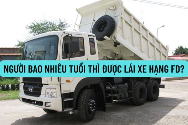 Người bao nhiêu tuổi thì được lái xe hạng FD? Giấy phép lái xe hạng FD được cấp cho đối tượng nào? Người ghép tim có được lái xe hạng FD? 