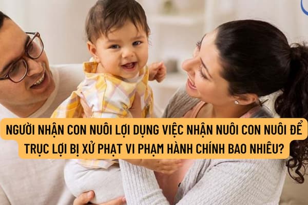 Người nhận con nuôi lợi dụng việc nhận nuôi con nuôi để trục lợi bị xử phạt vi phạm hành chính bao nhiêu?