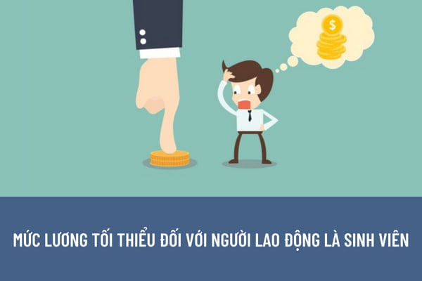 Mức lương tối thiểu đối với người lao động là sinh viên được quy định như thế nào? Quy định việc áp dụng địa bàn vùng để xác định mức lương tối thiểu?