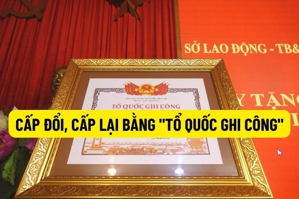 Mẫu mới nhất Đơn đề nghị cấp đổi/cấp lại Bằng 'Tổ quốc ghi công'? Căn cứ hồ sơ cấp đổi/cấp lại Bằng 'Tổ quốc ghi công'?