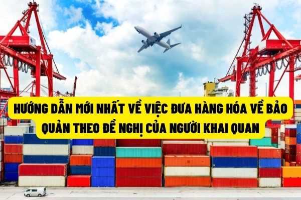 Hướng dẫn mới nhất của Tổng Cục Hải quan về việc đưa hàng hóa về bảo quản theo đề nghị của người khai hải quan?