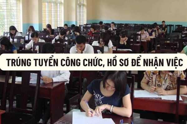 Trong trường hợp thi tuyển công chức trúng tuyển thì nên chuẩn bị hồ sơ gồm những gì để nhận việc? Hồ sồ công chức thì sử dụng phiếu lý lịch tư pháp nào?