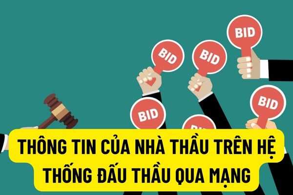 Nhà thầu phải cập nhật thông tin và tài liệu chứng minh về năng lực kinh nghiệm của mình lên Hệ thống đấu thầu qua mạng?