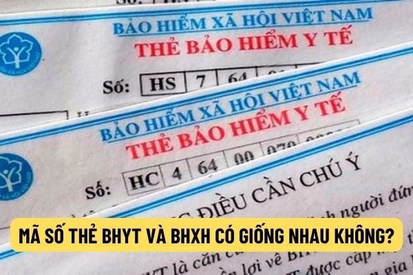 thuviennhadat.vn