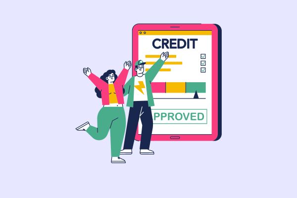 Luật Các tổ chức tín dụng 2024 quy định những trường hợp không được cấp tín dụng của tổ chức tín dụng?