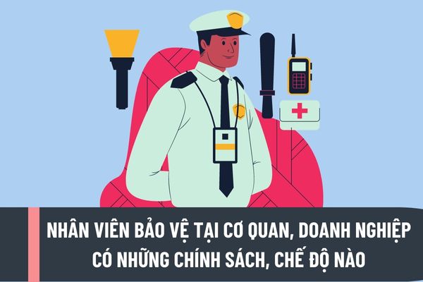 Nhân viên bảo vệ tại cơ quan, doanh nghiệp có những chính sách, chế độ nào? Bảo vệ cơ quan, doanh nghiệp được trang bị phương tiện nào?