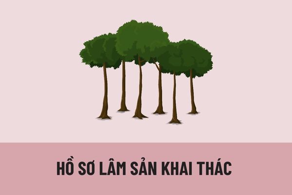 Hồ sơ lâm sản khai thác từ rừng trong nước bao gồm những tài liệu nào? Hồ sơ lâm sản sau xử lý tịch thu bao gồm những gì?