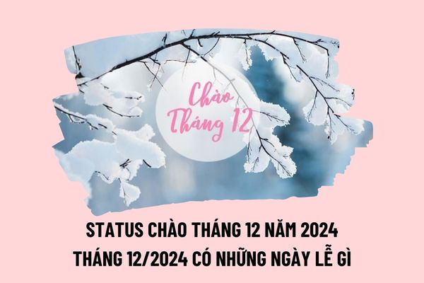 Status tháng 12 năm 2024 ngắn gọn? Tháng 12 có gì đặc biệt? Các ngày lễ trong tháng 12 ở Việt Nam thế nào?