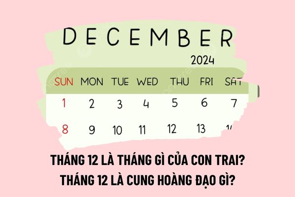 Tháng 12 là tháng gì của con trai? Tháng 12 là cung hoàng đạo gì? Tháng 12 2024 người lao động được nghỉ lễ, tết vào những ngày nào?