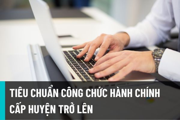 Công chức hành chính từ cấp huyện trở lên thuộc ngạch nào? Tiêu chuẩn về chuyên môn, trình độ công chức hành chính ra sao?