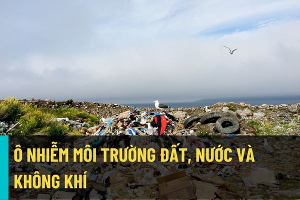 Hành vi gây ô nhiễm đất, nước, không khí và gây ô nhiễm môi trường kéo dài bị xử phạt bao nhiêu tiền? 