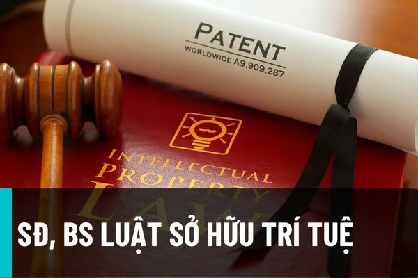 Đã có Luật sửa đổi, bổ sung một số điều của Luật Sở hữu trí tuệ 2005 có hiệu lực từ ngày 01/01/2023?