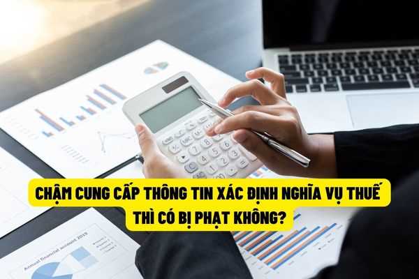Trường hợp cung cấp thông tin xác định nghĩa vụ thuế chậm hơn thời hạn trong thông báo của cơ quan thuế thì có bị xử phạt không?